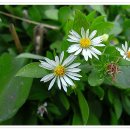 창원중앙역 주차장 부근 이미지