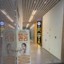 [내돈내산] 경락샵 결이고은 시청점 솔직 후기