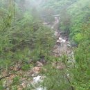 대원사정류장 이미지