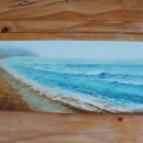 수상조종면허시험장 이미지