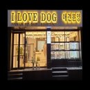 대명동 강아지 이미지