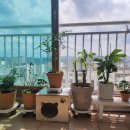 조금느려도괜찮아 이미지