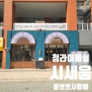 시새움미용실 | 청라미용실 시새움 애쉬브라운 톤다운 염색 후기
