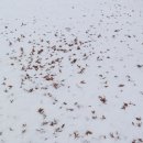 분당야탑3-A-6 이미지