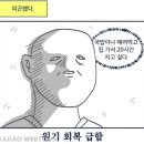 화이트식당 이미지