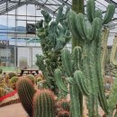 과학영농실증시험포 교육장 이미지