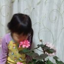 김종구농장 이미지