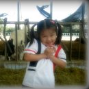 동영목장 이미지