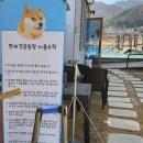 대선 보건진료소 이미지