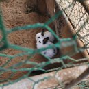 한사랑농장 이미지