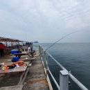 왜목해맞이 좌대낚시터 이미지