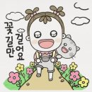 제이문플라워 이미지