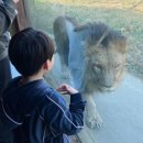 효자어린이공원 | 아이랑 서울여행, 가볼 만한 곳 2박3일 일정 숙소 공유 [2탄]