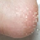 아름올리 이미지