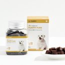 퍼피멍멍 이미지