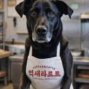 억새타르트