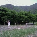 은지가든 이미지