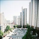 필DNP