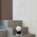 위너펜션 이미지