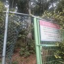 삼보로 1길 | 양산 영축산 최단 코스 양산 스탬프 투어 명산 인증