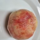 김종달농장 네이버블로그