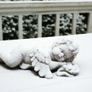 브로칸트 하우스 이미지