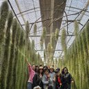 부영카 | 제주도 15인승 렌터카 대절 진짜 편했던 우정여행 후기