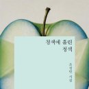 멍게 이야기 / 조정인 이미지