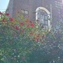 째쟁이헤어클럽 이미지