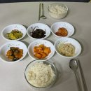 경주 포항 산후도우미, 베스트맘 후기가 많은 이유 직접 경험해 봤어요
