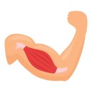 스테디 휘트니스(안중점) 이미지