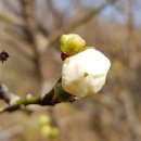 삼태기농장 이미지