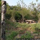 장군의집 민박 이미지