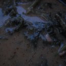 아미농장 이미지