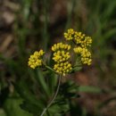 도립화목원 이미지