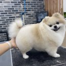 까까댕이 네이버블로그