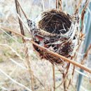 운향농장 이미지