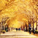 은행1공영주차장 이미지