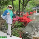 가야펜션 이미지