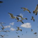 석포리선착장 이미지