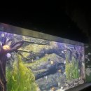 여수게스트하우스벨루가B | 잠실 롯데 아쿠아리움 데이트 후기