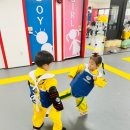 용인대 수영 태권도장 이미지