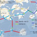 완도13호 이미지