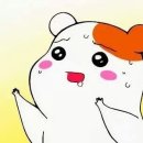 혜이지 이미지