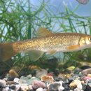 개울과 사람들 이미지