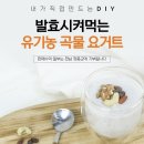 요고미 네이버블로그