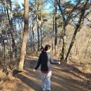 말미산 | 광주 어등산 등산로, 쉬운 등산코스, 등린이도전!!그리고 먹방 및 맛집.꿀팁(도심에서 가까운 등산코스...