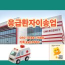 사설 구급차 5대 운영 허가 기준 서류, 응급의료법상 인력 차고지 요건 총정리