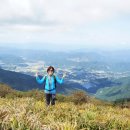 향로산자연휴양림 이미지