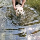 가든테라피펜션 이미지